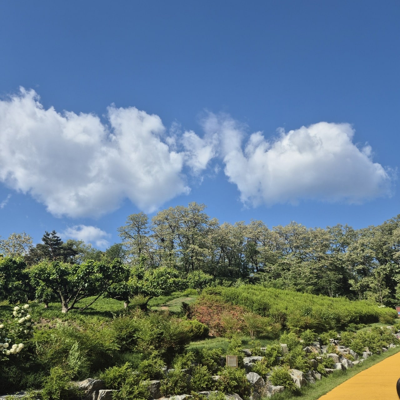 초안산 하늘꽃정원