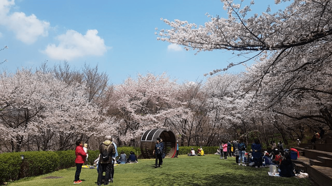 서대문 안산 잔디마당