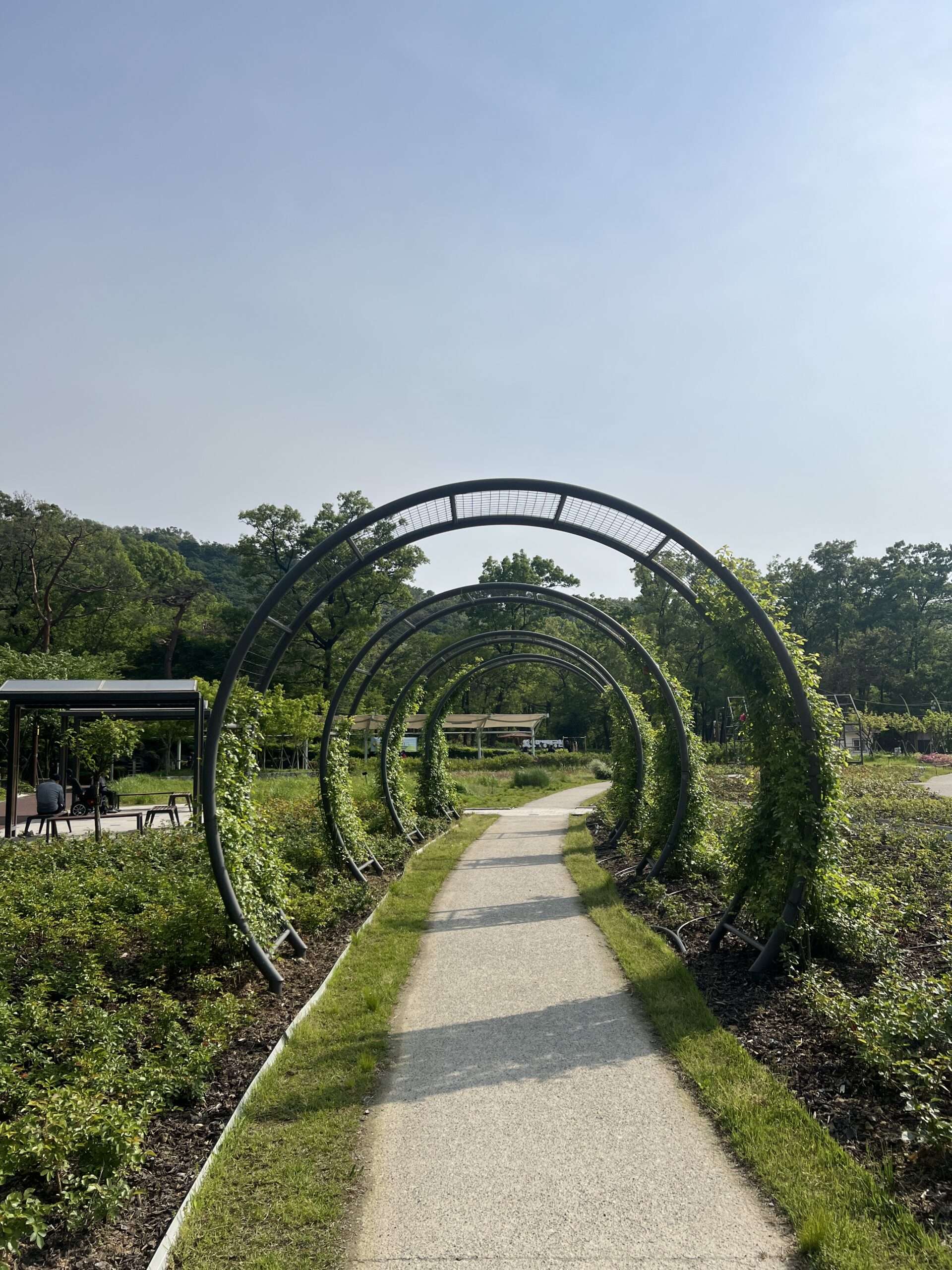 금천구 녹색광장 잔디마당