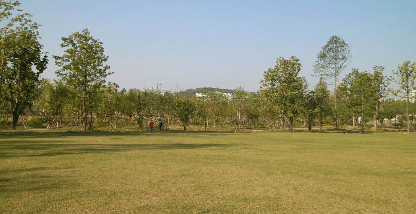 서울식물원 잔디마당