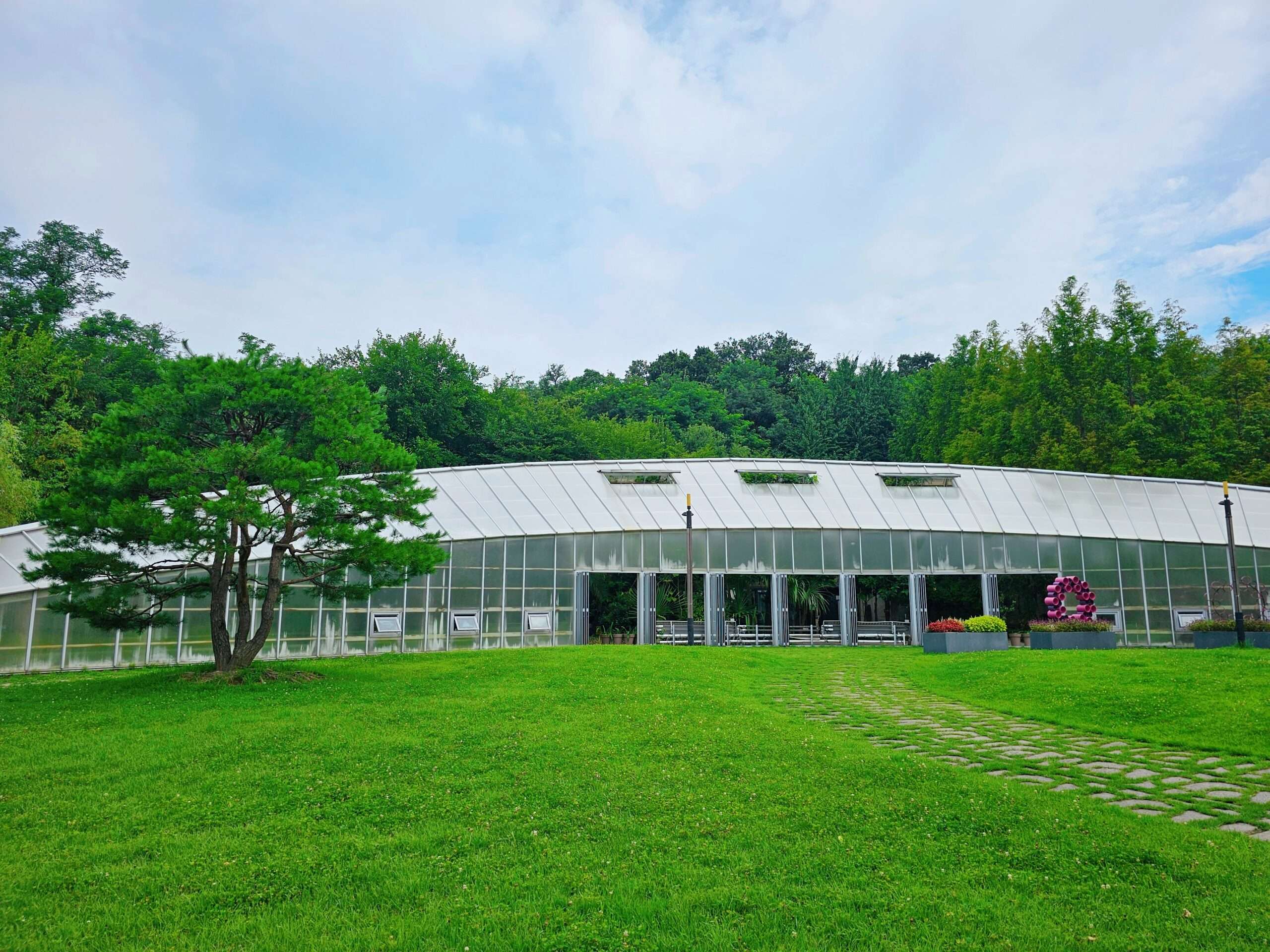 푸른수목원 잔디마당