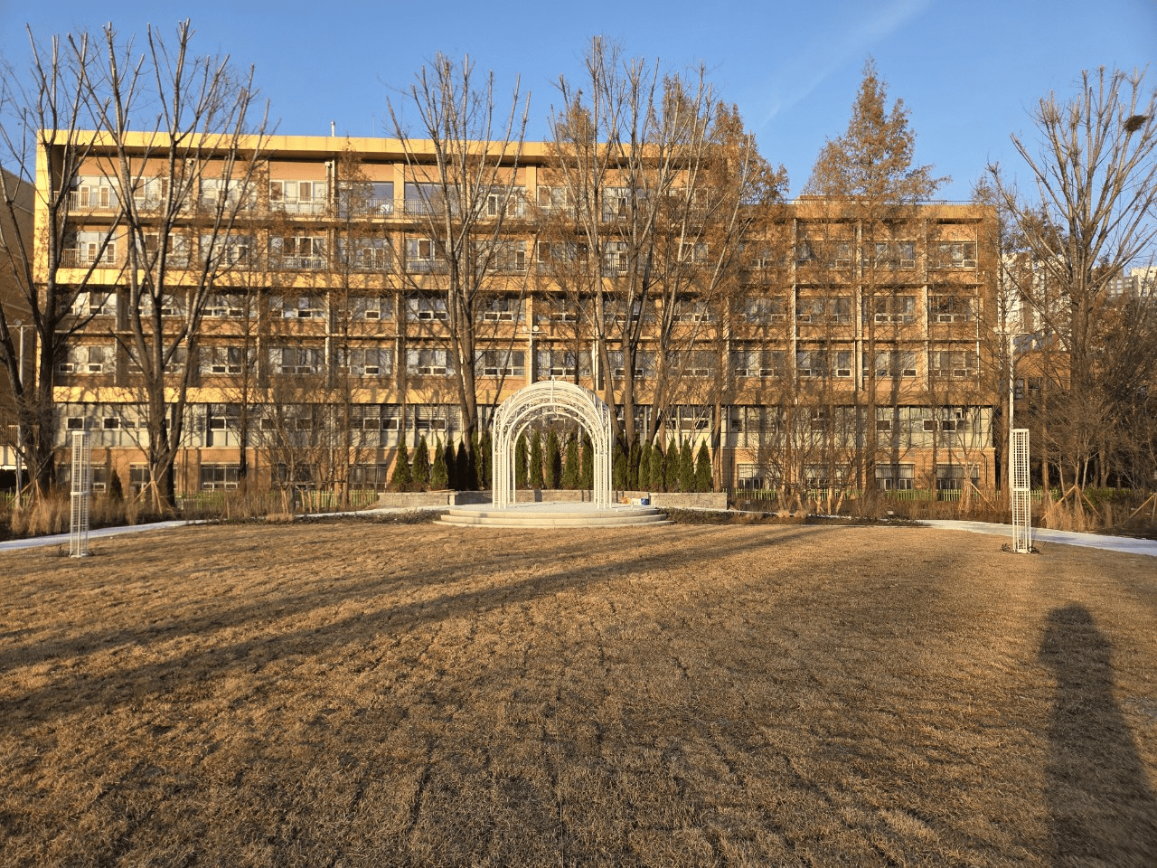 서울숲 포플러정원